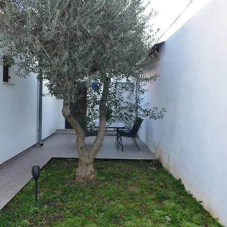 公寓 Krolo 扎达尔